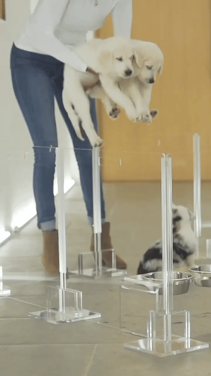 Clear Acrylic Pet Playpen 32” High with Door – Square Indoor Dog Playpen, Expandable Puppy Playpen