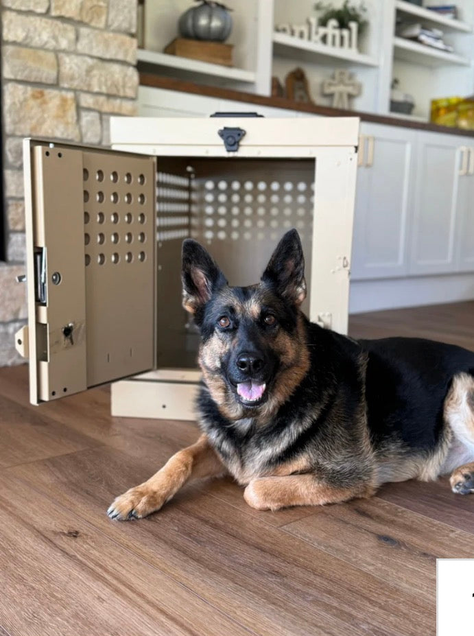 Owens Professional K9 Series crate with two dogs sitting nearby