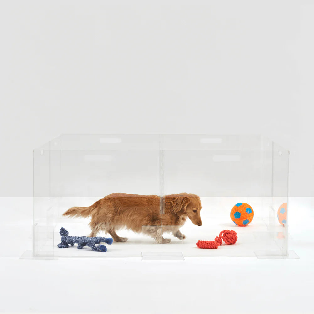 Clear Acrylic Dog Playpen 24” High – Modern Invisible Indoor Pet Pen