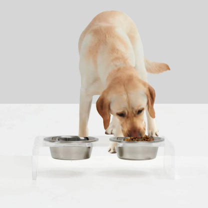 Hiddin Clear Acrylic Elevated Dog Feeder – Small Double Raised Dog Bowls with Stainless Steel Bowls