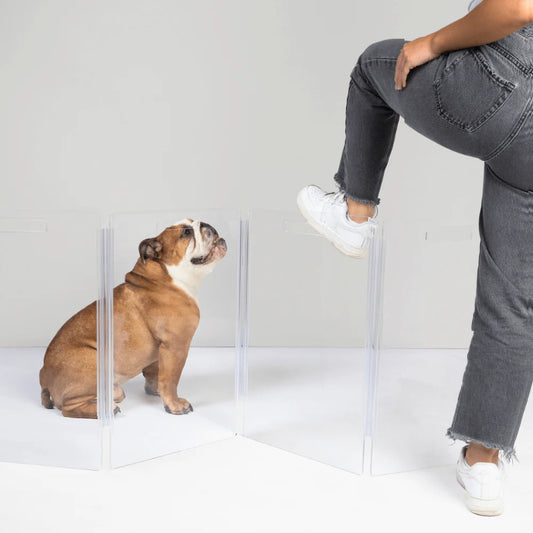 Low Clear Acrylic Pet Gate (24”) – Freestanding Zig Zag Dog Gate for Small & Medium Dogs, Extra Wide Indoor Step-Over Pet Barrier (No Drilling)