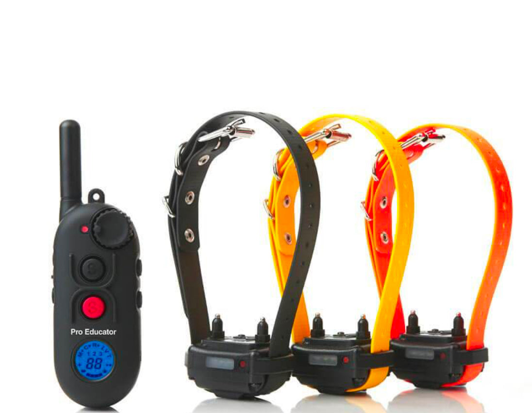 E-Collar PE-900 Pro Educator Advanced Remote Dog Trainer 1/2 Expandable Up To 3 Dogs