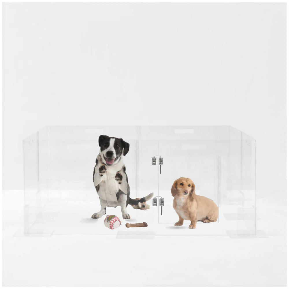 Two dogs with toys and a clear acrylic dog playpen