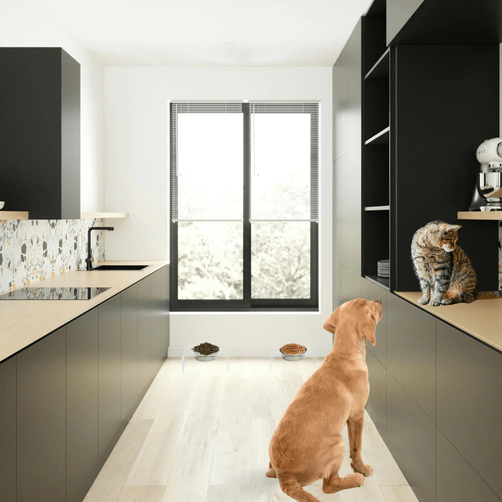 Hiddin Clear Acrylic Elevated Dog Bowl Stand – Modern Raised Pet Feeder with Stainless Steel Bowl (6.5 Cup)