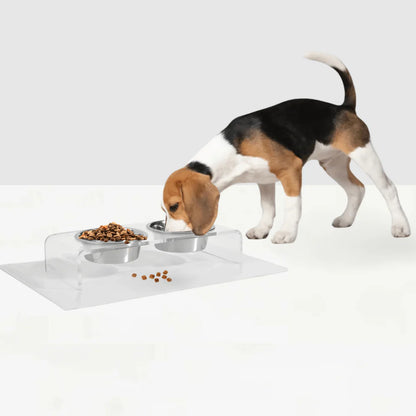 Hiddin Clear Acrylic Elevated Dog Feeder – Small Double Raised Dog Bowls with Stainless Steel Bowls