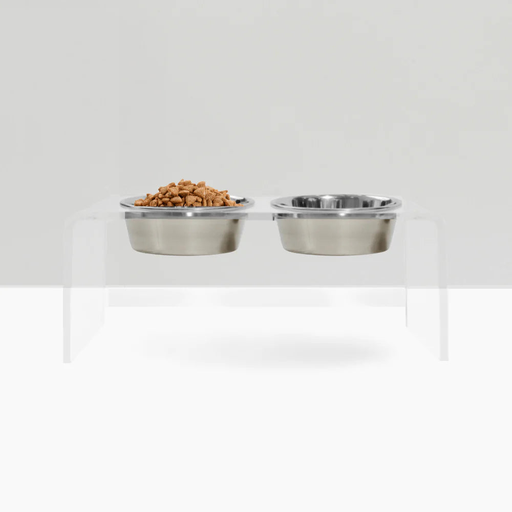 Medium Clear Acrylic Elevated Dog Feeder – Double Raised Dog Bowls with Stainless Steel Bowls