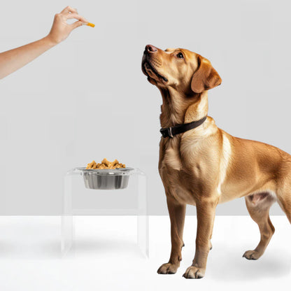 Elevated Dog Feeder for Large Dogs (12” Acrylic Stand) – Modern Raised Dog Bowl with Stainless Steel, Ergonomic Feeding Station (6.5 Cup)