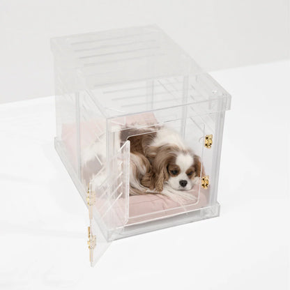 Clear Acrylic Dog Crate & Gate – Modern Lucite Dog Crate Furniture Side Table with Gold Latch
