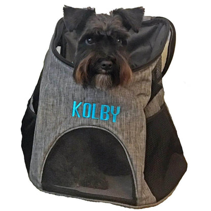 Pet carrier backpack with small dog inside, head sticking out for comfortable and hands-free travel