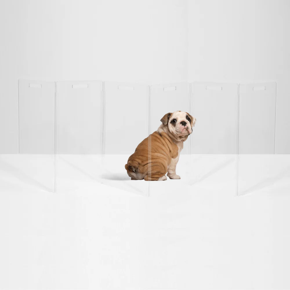 Hiddin Clear Acrylic Pet Gate Tall for Dogs (Freestanding Zig Zag) – Extra Wide Modern Transparent Dog Gate for Indoor Openings, No Drilling