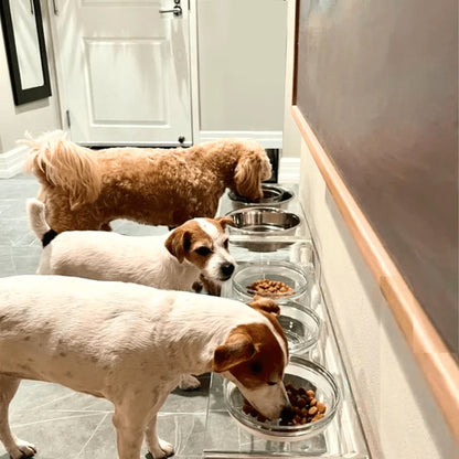 Medium Clear Acrylic Elevated Dog Feeder – Double Raised Dog Bowls with Stainless Steel Bowls