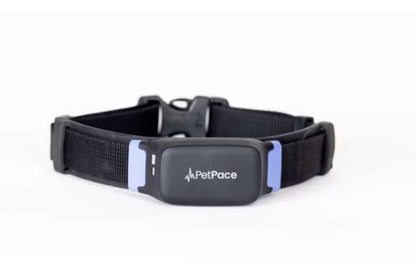 PetPace Dog Health Collar Shown on a dog sitting beside owner
