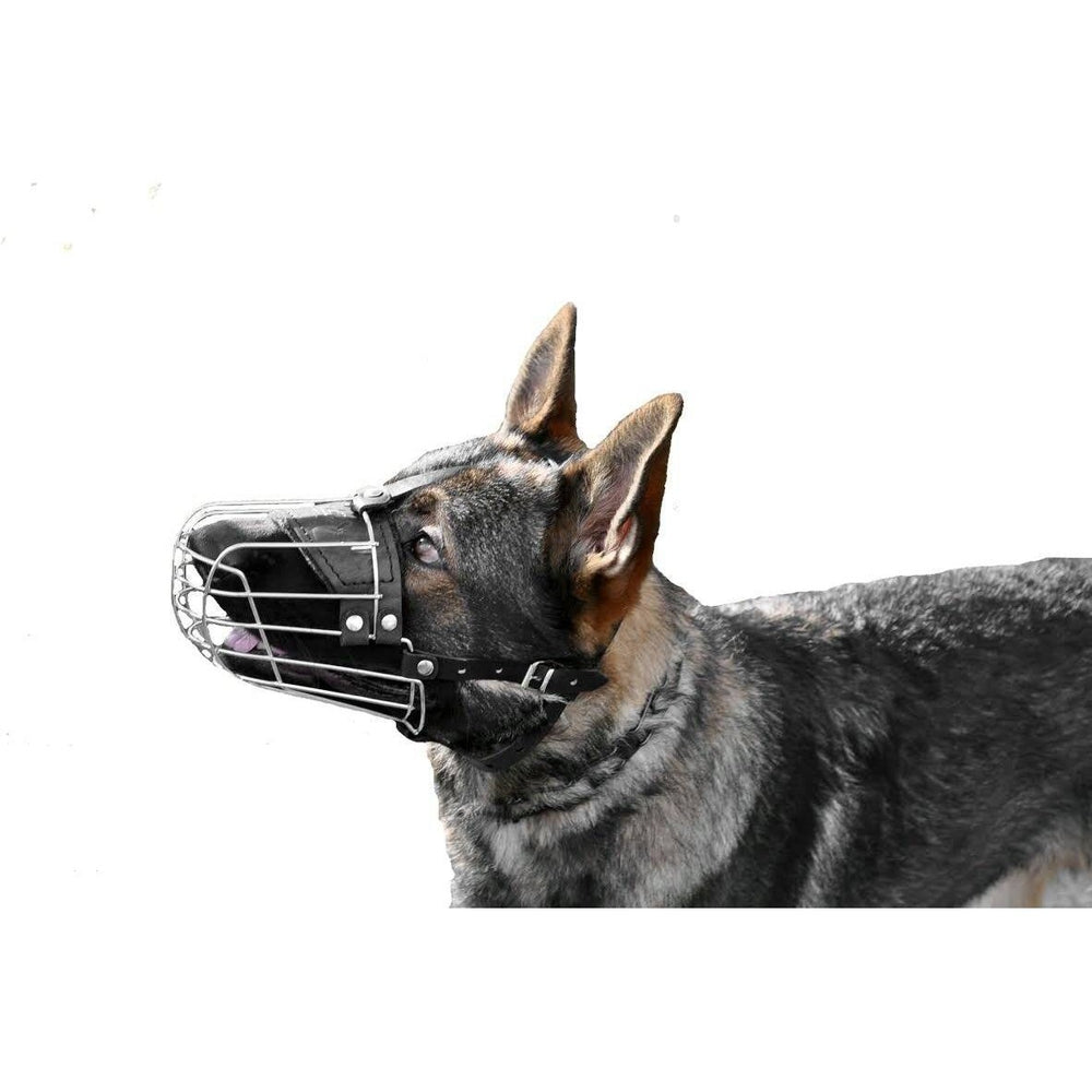 a dog wearing a Viper Delta Metal Wire Basket Dog Muzzle