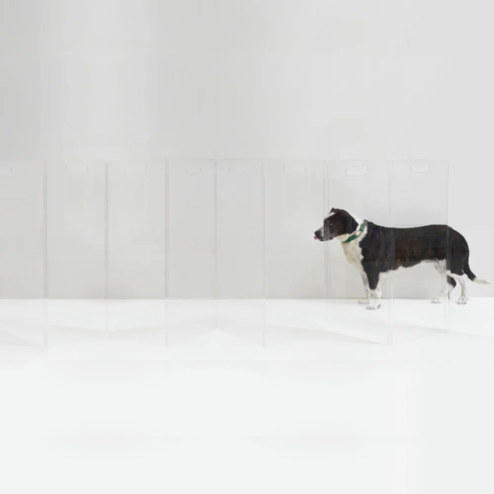 Hiddin Clear Acrylic Pet Gate Tall for Dogs (Freestanding Zig Zag) – Extra Wide Modern Transparent Dog Gate for Indoor Openings, No Drilling
