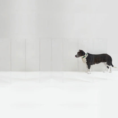 Hiddin Clear Acrylic Pet Gate Tall for Dogs (Freestanding Zig Zag) – Extra Wide Modern Transparent Dog Gate for Indoor Openings, No Drilling