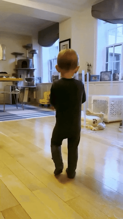 Child in a dark outfit standing in a room with wooden floors and large windows. walking past his dogs in a clear acrylic dog playpen