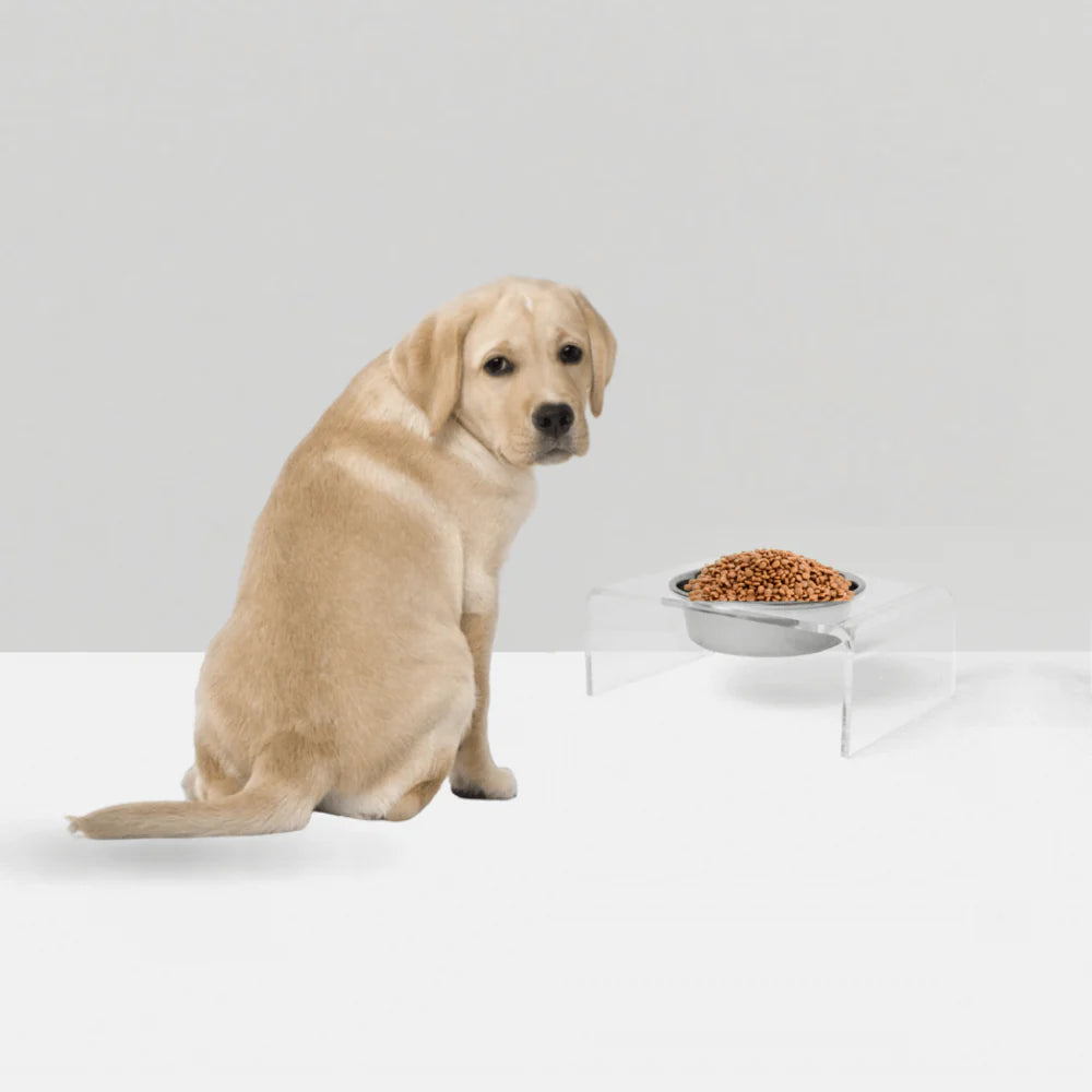 Hiddin Clear Acrylic Elevated Dog Bowl Stand – Modern Raised Pet Feeder with Stainless Steel Bowl (6.5 Cup)