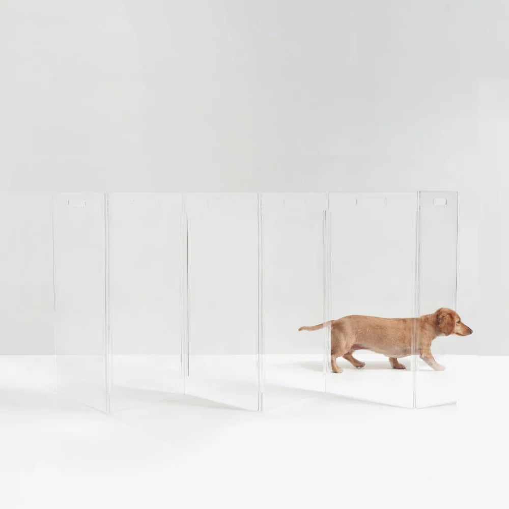 Hiddin Clear Acrylic Pet Gate Tall for Dogs (Freestanding Zig Zag) – Extra Wide Modern Transparent Dog Gate for Indoor Openings, No Drilling
