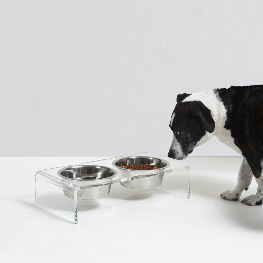 Hiddin Clear Acrylic Elevated Dog Feeder – Small Double Raised Dog Bowls with Stainless Steel Bowls