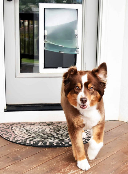 Hale Pet Door In-Glass Model — dog door for glass doors and windows, built into new tempered glass (photo 3)
