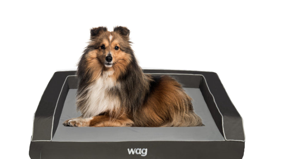 Wag Dog Bed