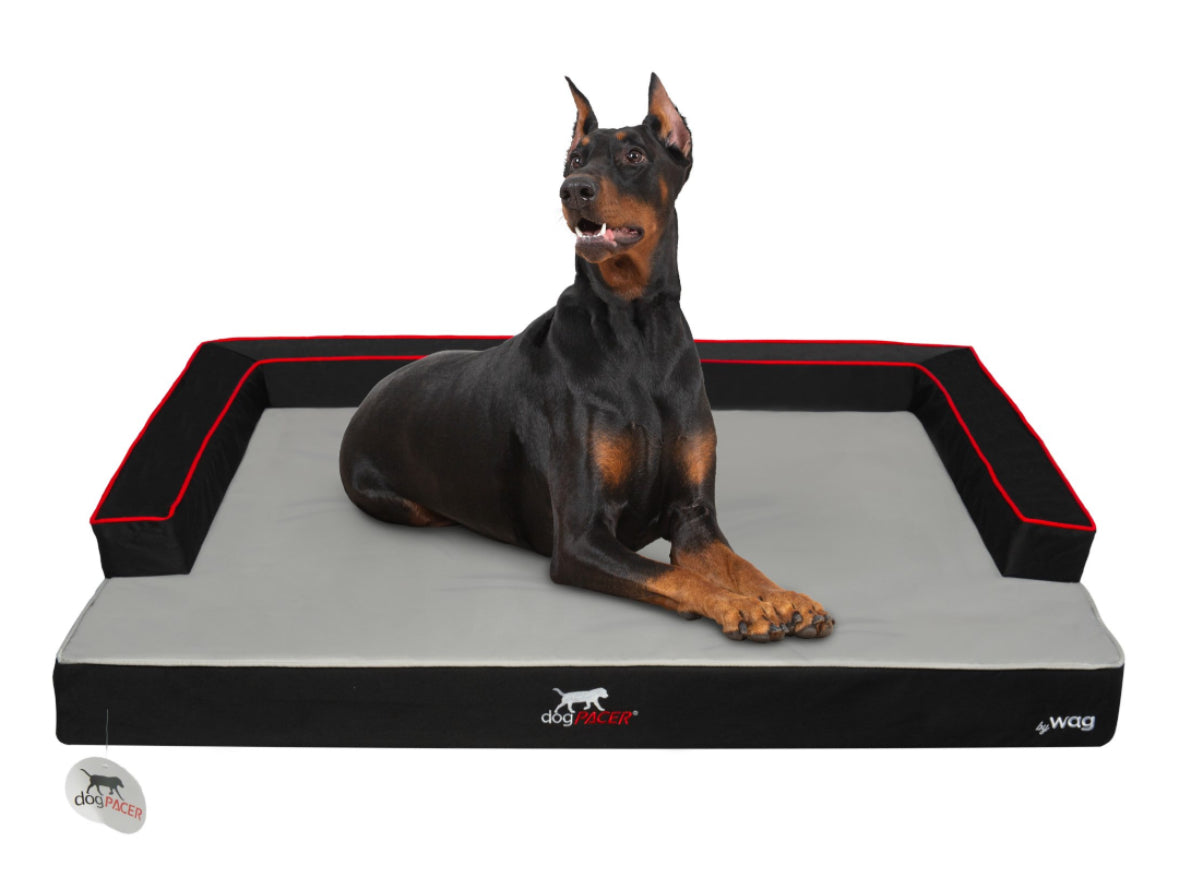 DogPACER Dog Bed