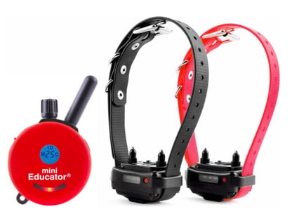 E-Collar ET-302 Mini Educator 2-Dog Remote Trainer 1/2 Mile