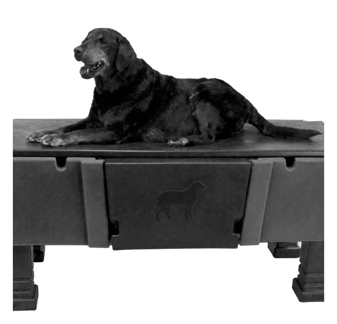 Dakota283 Groom Pet Pro Tub