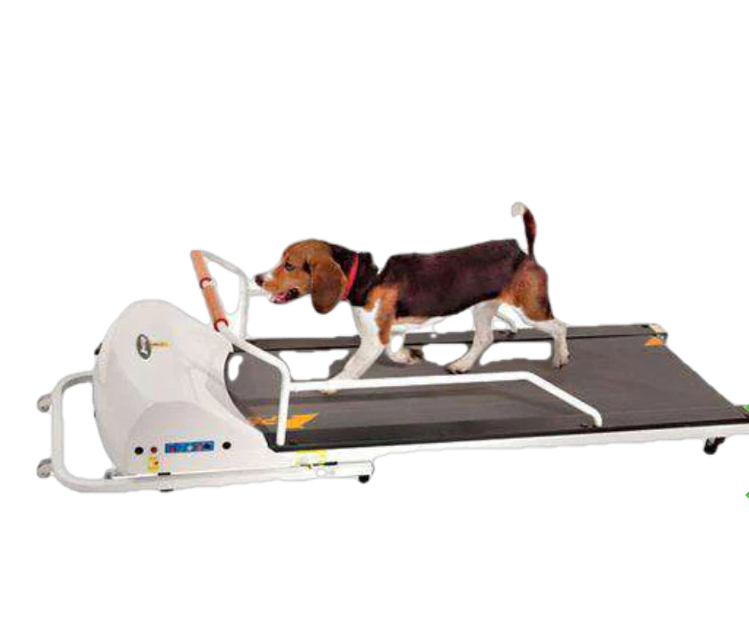 GoPet PetRun PR720F Small Medium Dogs Treadmill Up To 132 lbs