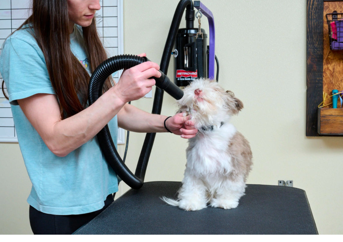 Metrovac Air Force Hands-free Pet & Dog Grooming Dryer