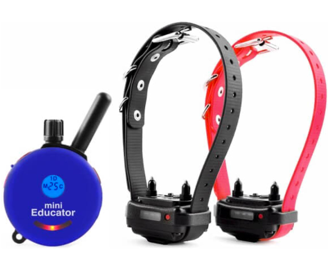 E-Collar ET-302 Mini Educator 2-Dog Remote Trainer 1/2 Mile