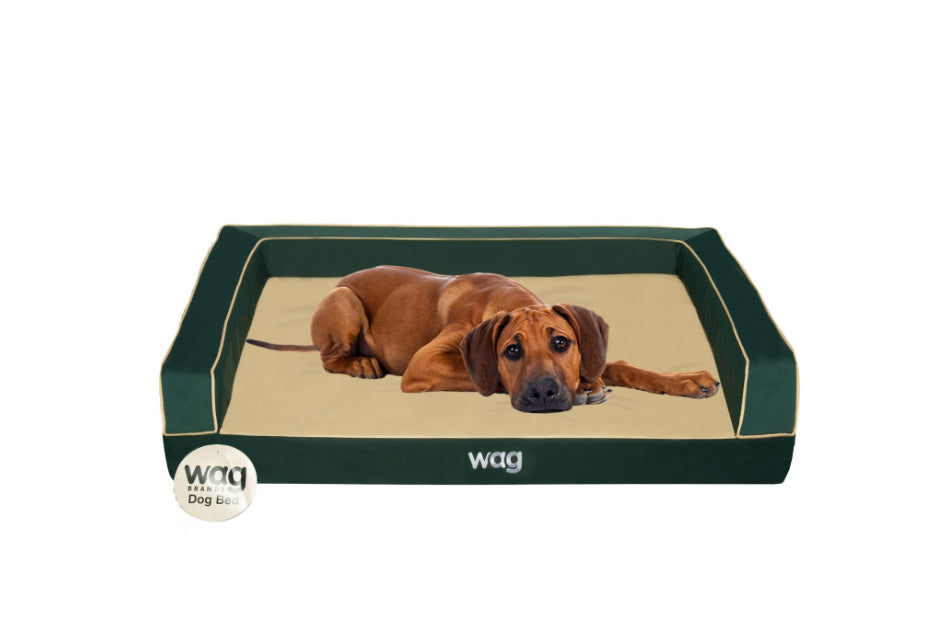 Wag Dog Bed