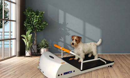 GoPet PetRun RP 700 Treadmill Small Dogs Up To 44 LBS