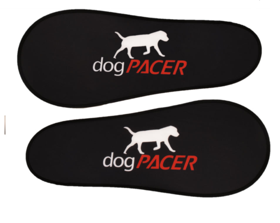 DogPacer 4.0 Bluetooth Edition