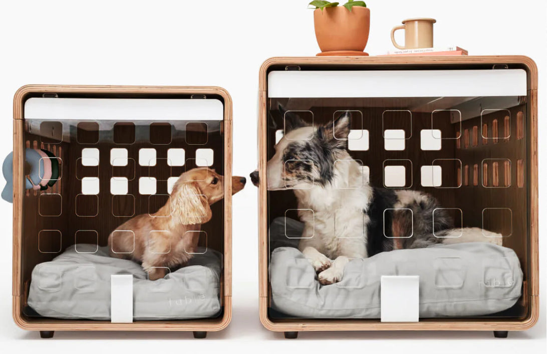 Fable Dog Crate