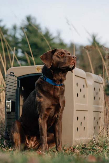 Dakota283 G3 Framed Door Portable Kennel Crate