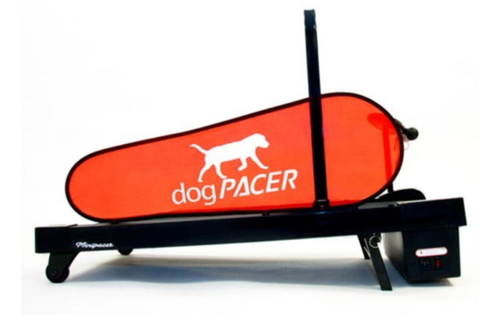 DogPACER Mini Treadmill