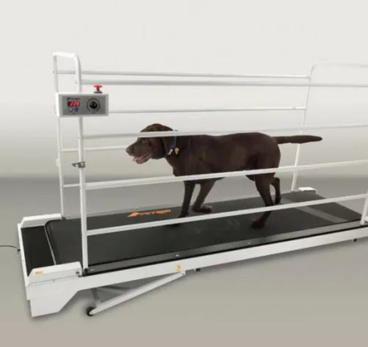 GoPet PetRun PR 730 For Extra Large Dogs Enclosable Treadmill  Up To 264 Lbs