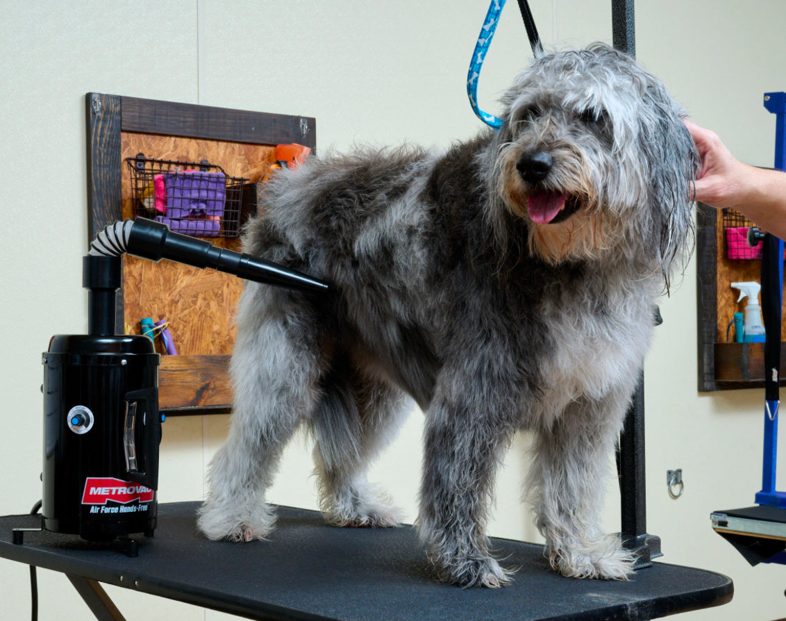 Metrovac Air Force Hands-free Pet & Dog Grooming Dryer