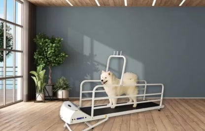 GoPet PetRun PR725 Enclosable Treadmill For Large Dogs Up To 176 Lbs