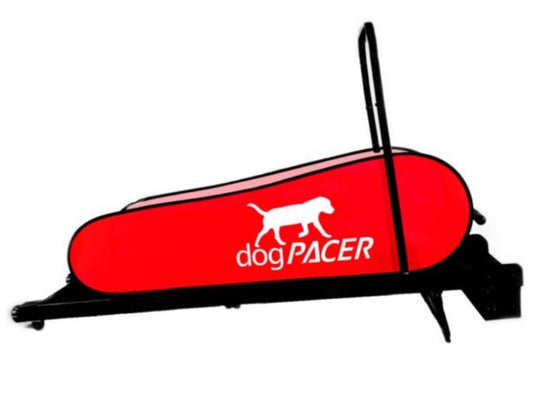 DogPacer LF 3.1  Folding Electric Dog Treadmill