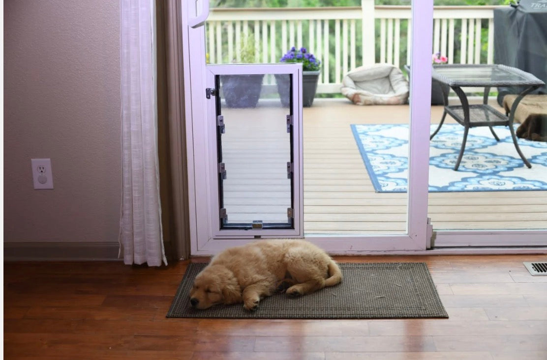 Hale Pet Door In-Glass Model — dog door for glass doors and windows, built into new tempered glass (photo 5)