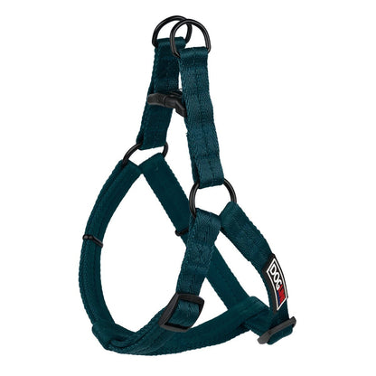 Teal nylon dog harness with quick release buckle and metal rings, flat step-in design
