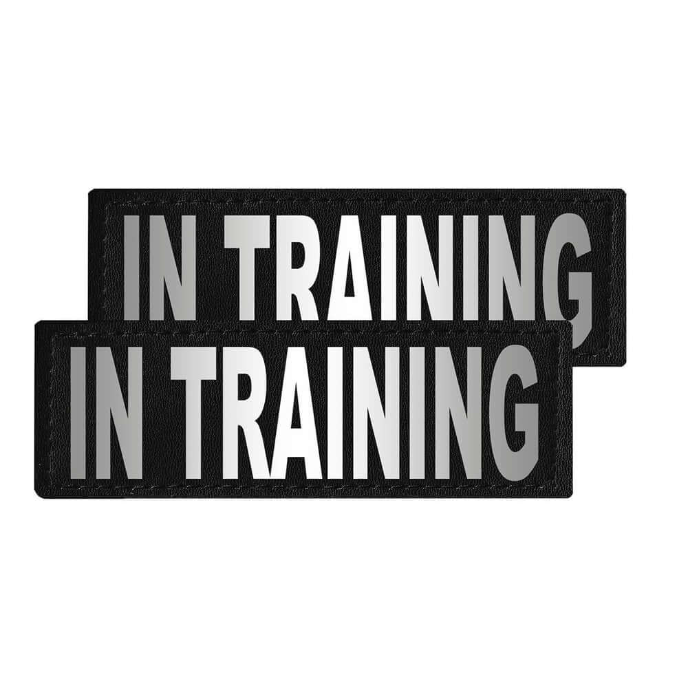 Set of 2 removable reflective patches for dog collars or harnesses to enhance nighttime visibility and safety