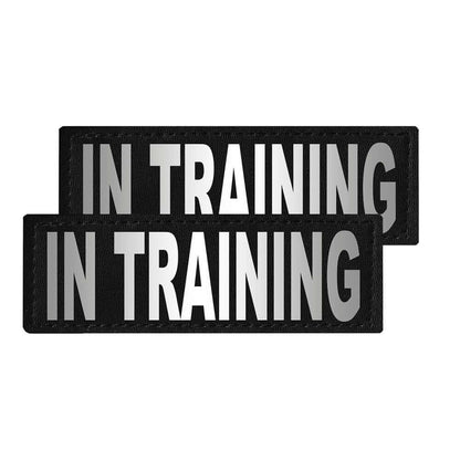 Set of 2 removable reflective patches for dog collars or harnesses to enhance nighttime visibility and safety
