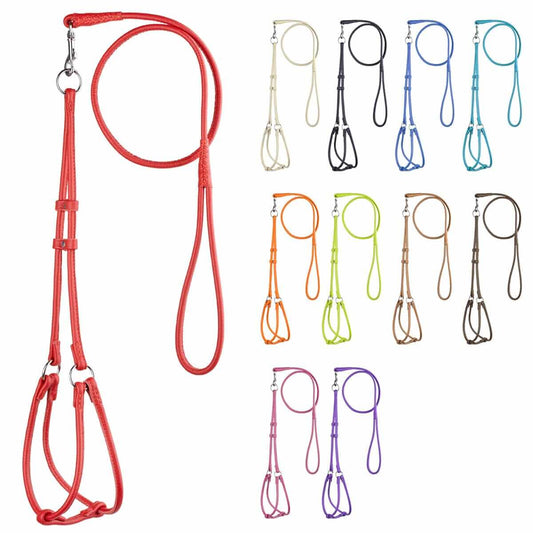 Soft leather round step-in dog harness with matching round leather lead, comfortable and secure walking set for dogs