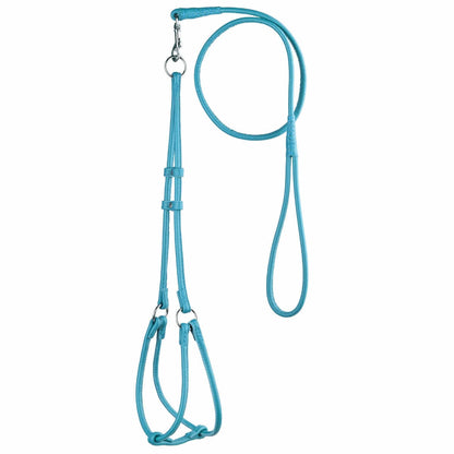 Soft leather round step-in dog harness with matching round leather lead, comfortable and secure walking set for dogs