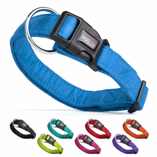 Comfort microfiber flat dog collar with soft padded lining and adjustable buckle for everyday wear