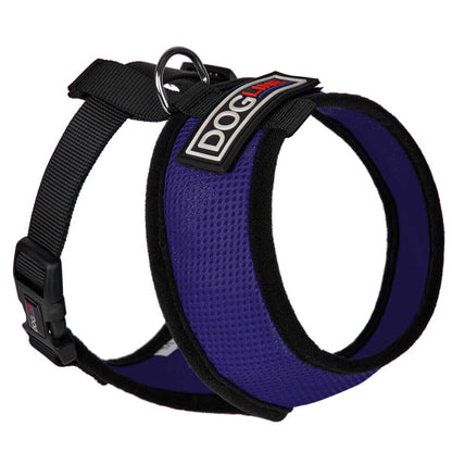Assorted vibrant mesh dog harnesses with adjustable fit displayed on clean white background