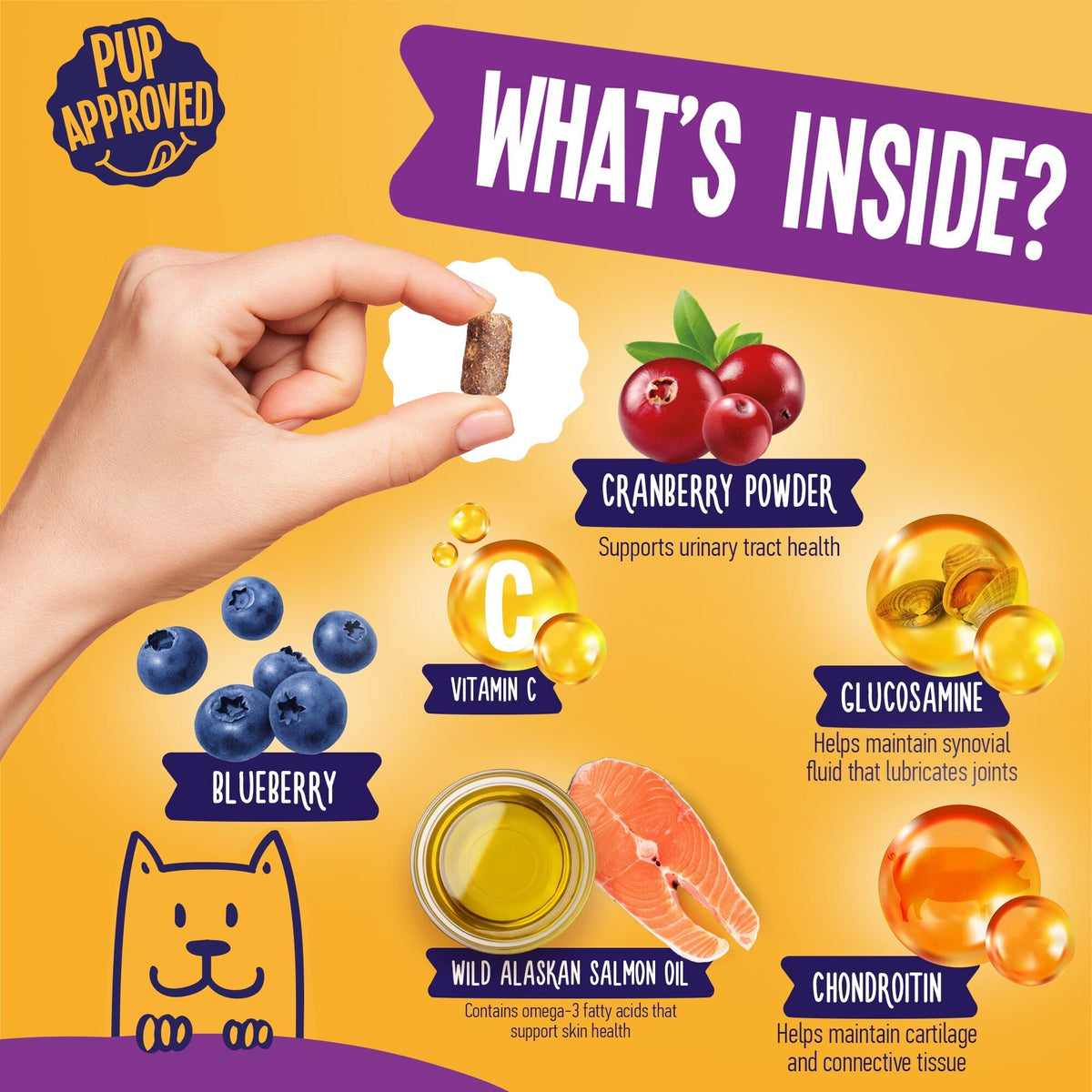 What is inside True Tails Multivitamin for dogs - cranberry glucosamine salmon oil vitamin C probiotics chondroitin